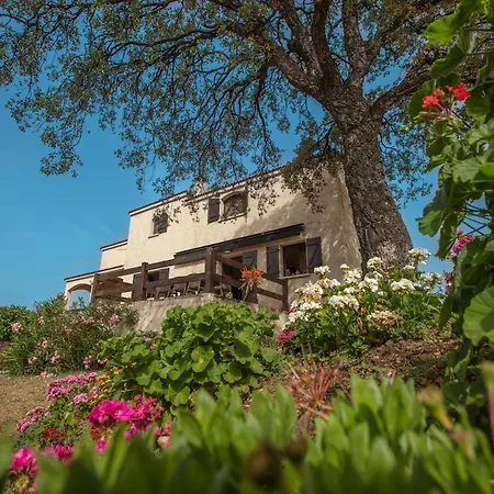 Villa Casa Maredda With Private Pool And Large Garden *