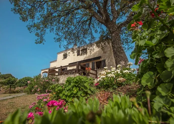 Villa Casa Maredda With Private Pool And Large Garden *